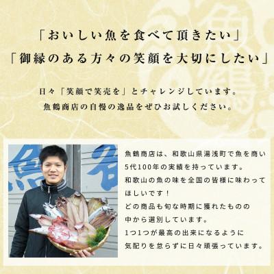 ふるさと納税 北山村 【毎月定期便】ご家庭用 塩さばフィレ 3.5kg【tkb354】全3回_1