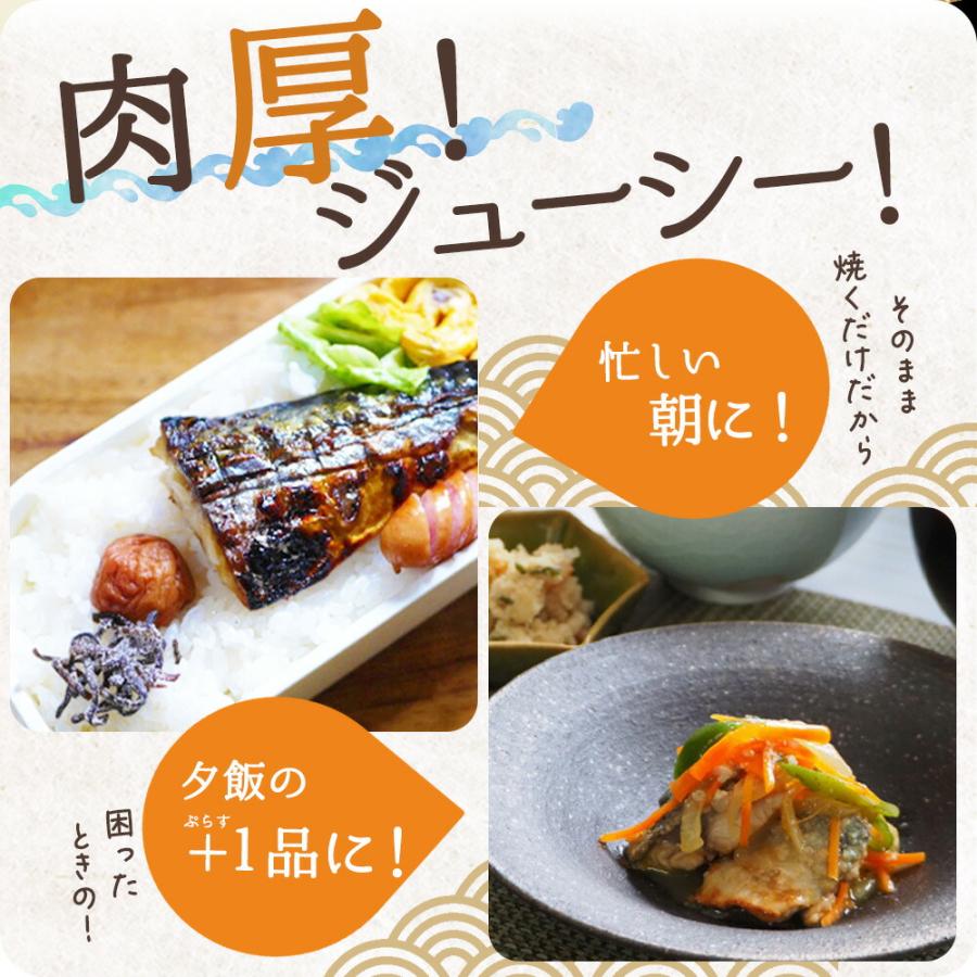 ふるさと納税 北山村 [毎月定期便]ご家庭用 塩さばフィレ 2kg[tkb353]全3回