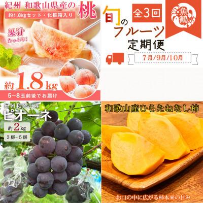 ふるさと納税 北山村 [発送月固定定期便]紀州和歌山産旬のフルーツ定期便 (桃・ピオーネ・平核無柿)[tkb371]全3回