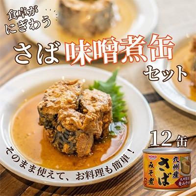 ふるさと納税 松浦市 [毎月定期便]さば味噌煮缶セット(12缶)全3回