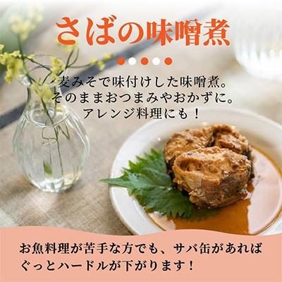 ふるさと納税 松浦市 【毎月定期便】さば味噌煮缶セット(24缶)全3回_1