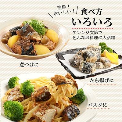 ふるさと納税 松浦市 【毎月定期便】さば味噌煮缶セット(24缶)全3回_2