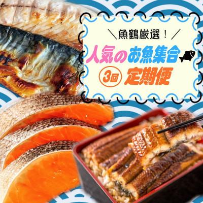 ふるさと納税 北山村 [毎月定期便]魚鶴厳選!人気のお魚集合定期便(さば・銀鮭・うなぎ)[tkb307]全3回