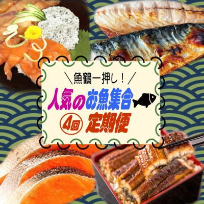 ふるさと納税 北山村 [毎月定期便]魚鶴一押し!人気のお魚集合定期便(さば・銀鮭・うなぎ・海鮮丼)[tkb308]全4回