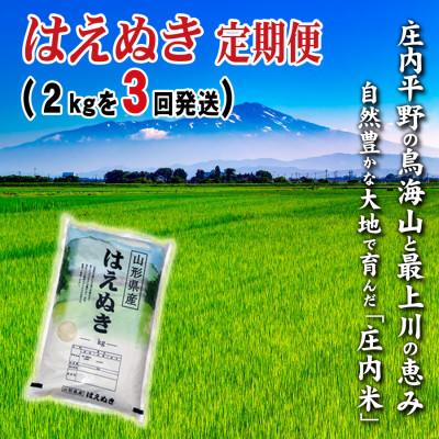 ふるさと納税 酒田市 [毎月定期便]少量小袋で山形県の米どころ庄内平野で育った庄内米 はえぬき2kg全3回