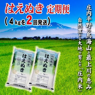 ふるさと納税 酒田市 [毎月定期便]小袋で2つ 山形県の米どころ庄内平野で育った庄内米 はえぬき4kg全2回