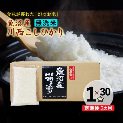 ふるさと納税 十日町市 [毎月定期便][無洗米]新潟県魚沼産 川西コシヒカリ 1合(150g)×30袋(4.5kg)全3回