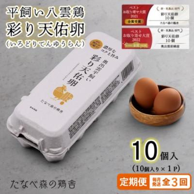 ふるさと納税 雲南市 [毎月定期便]平飼い八雲鶏 彩り天佑卵(てんゆうらん) 10個入×1パック 計10個全3回