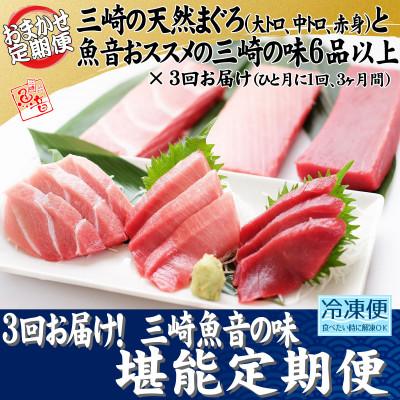 ふるさと納税 三浦市 [毎月定期便]3回お届け!三崎魚音の味堪能定期便全3回