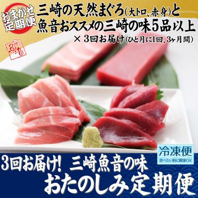 ふるさと納税 三浦市 [毎月定期便]3回お届け!三崎魚音の味おたのしみ定期便全3回