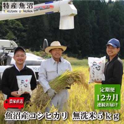 ふるさと納税 魚沼市 [毎月定期便]農家直送!魚沼産コシヒカリ(無洗米)5kg全12回