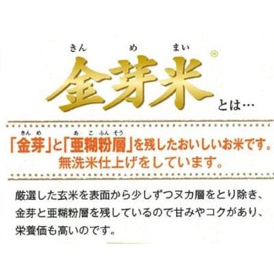 ふるさと納税 安来市 【毎月定期便】BG無洗米・金芽米つや姫 2kg全3回 |  | 01