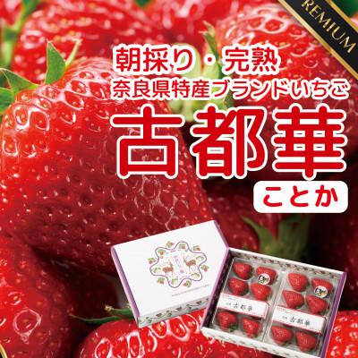 ふるさと納税 広陵町 [発送月固定定期便]3ヶ月定期便 奈良県特産ブランドいちご古都華ことか2P (2-4月)全3回
