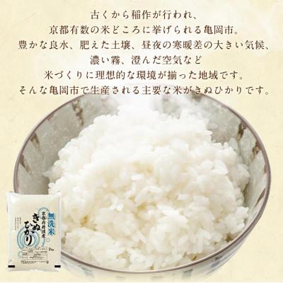 ふるさと納税 亀岡市 【毎月定期便】無洗米 真空パック 京都丹波産