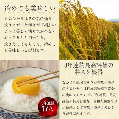 ふるさと納税 亀岡市 【毎月定期便】無洗米 真空パック 京都丹波産