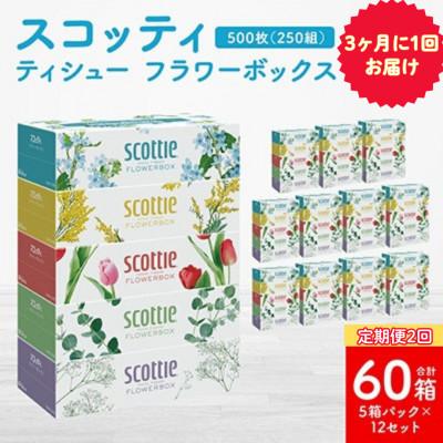 ふるさと納税 八代市 [3ヵ月毎定期便]ティシューフラワーボックス250組5箱パック×12 合計60箱[41365]全2回