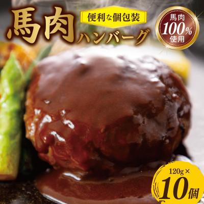 ふるさと納税 泉佐野市 [毎月定期便]馬肉ハンバーグ 120g×10個 全3回