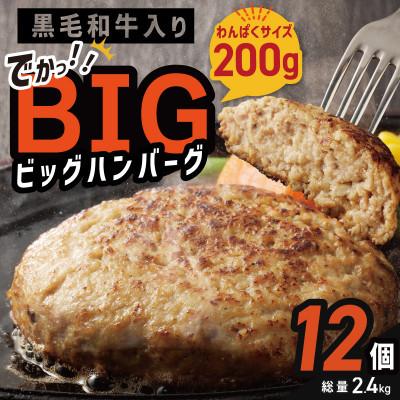 ふるさと納税 泉佐野市 [毎月定期便]BIG ハンバーグ 200g×12個 全3回
