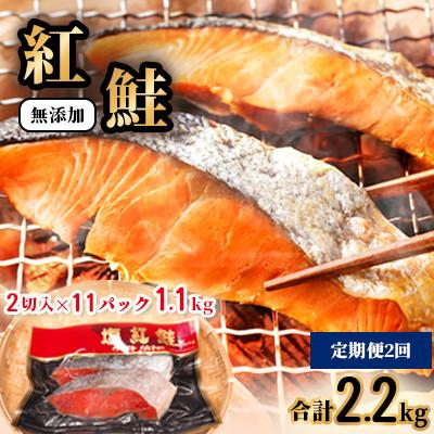 ふるさと納税 塩竈市 [毎月定期便]天然 紅鮭 切り身 1.1kg(2切入×11パック)全2回
