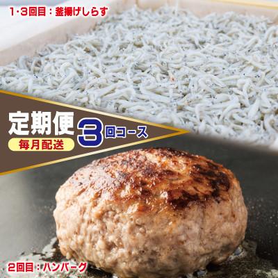 ふるさと納税 泉佐野市 [毎月定期便]店主セレクト ハンバーグ/しらす 食べ比べ 定期便 全3回