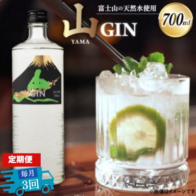 ふるさと納税 韮崎市 【毎月定期便】山ジン 700ml×1本全3回 : Yahoo