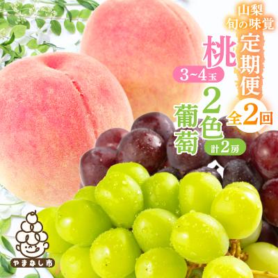 ふるさと納税 山梨市 【発送月固定定期便】山梨旬の味覚定期便【桃 約1kg/2色葡萄 1kg以上】全2回 | 