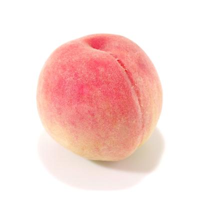 ふるさと納税 山梨市 【発送月固定定期便】山梨旬の味覚定期便【桃 約1kg/2色葡萄 1kg以上】全2回 |  | 03