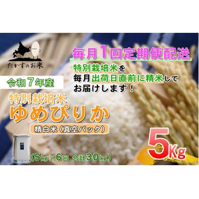 ふるさと納税 鷹栖町 [毎月定期便][令和7年産]特別栽培米「ゆめぴりか(精白米)」真空パック 5kg全6回