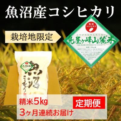 ふるさと納税 魚沼市 [毎月定期便][魚沼コシヒカリ]鳥屋ヶ峰山麓米5kg(精米) 3ヶ月連続全3回