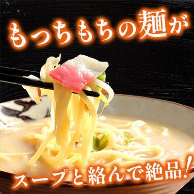 ふるさと納税 南島原市 【毎月定期便】冷凍 長崎ちゃんぽん 8人前(1人前×8袋)(南島原市)全6回_2