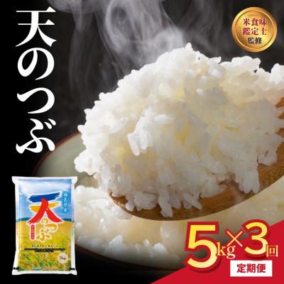 ふるさと納税 田村市 [毎月定期便]田村産 天のつぶ 5kg 米 精米全3回