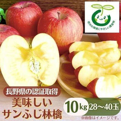 ふるさと納税 中野市 【発送月固定定期便】2026年発送[長野県産]信州種無し巨峰 2〜3房+サンふじ林檎 10kg全2回の画像