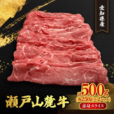ふるさと納税 瀬戸市 [毎月定期便]瀬戸山麓牛赤身スライス500g(250g×2P)全3回
