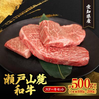 ふるさと納税 瀬戸市 [毎月定期便]瀬戸山麓和牛希少部位ステーキセット500g以上全3回