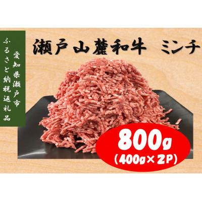 ふるさと納税 瀬戸市 [毎月定期便]瀬戸山麓和牛ミンチ800g(400g×2P)全3回