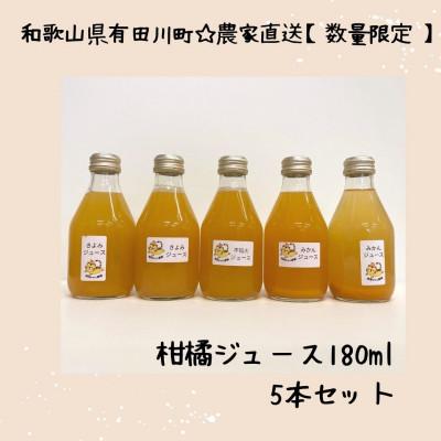 ふるさと納税 有田川町 [発送月固定定期便]果汁100%! 柑橘ジュース180ml×5本全3回