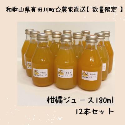 ふるさと納税 有田川町 [毎月定期便]農家直送 果汁100%! 柑橘ジュース180ml×12本全2回