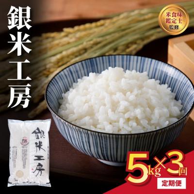 ふるさと納税 田村市 [毎月定期便]銀米工房 5kg 精米全3回