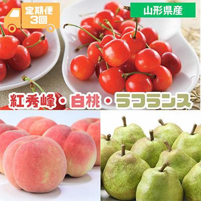ふるさと納税 中山町 [発送月固定定期便]2026年度発送 山形代表くだもの(紅秀峰・白桃・ラフランス)全3回