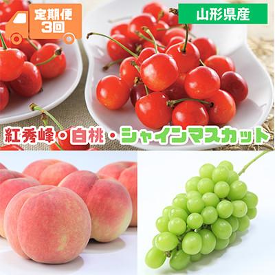 ふるさと納税 中山町 [発送月固定定期便]2026年発送山形代表果物(紅秀峰・白桃・シャインマスカット)全3回