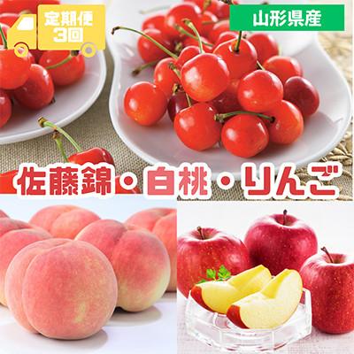 ふるさと納税 中山町 [発送月固定定期便]2026年度発送 山形代表くだもの3品種『佐藤錦・白桃・りんご』全3回