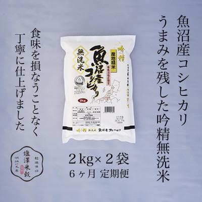 【単一原料米】南魚沼産 コシヒカリ 無洗米 10kg (5kg×2袋セット) ふるさと納税 南魚沼市 【毎月定期便】南魚沼産コシヒカリ 《吟精無