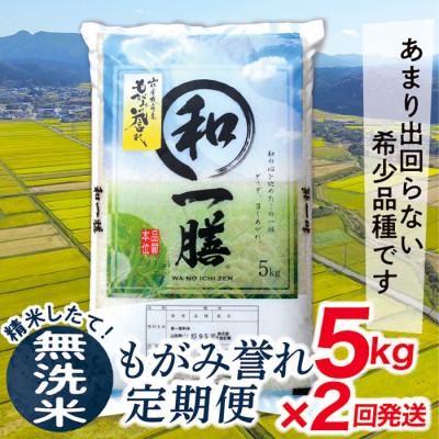 ふるさと納税 最上町 [毎月定期便]買い忘れなしで美味しいもがみ誉れ5kg(無洗米)が届く全2回