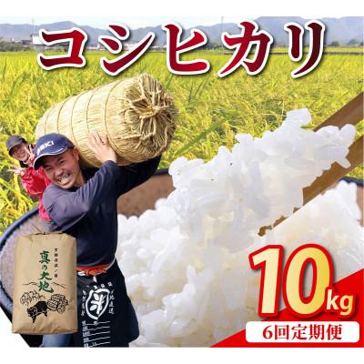 ふるさと納税 亀岡市 [毎月定期便]農家直送 京都丹波産 コシヒカリ 精米 10kg(10kg×1袋)全6回