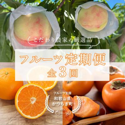 ふるさと納税 かつらぎ町 [発送月固定定期便]フルーツ定期便 品質に自信あり!道の駅よりこだわり農家厳選品!全3回