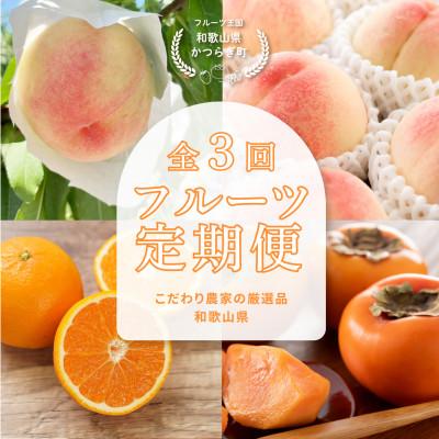 ふるさと納税 日高町 [発送月固定定期便]フルーツ定期便 品質に自信あり!道の駅よりこだわり農家厳選品!全3回