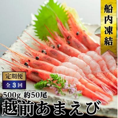 ふるさと納税 若狭町 [毎月定期便]ねっとり甘い 子無し 日本海甘えび 500g(約50尾)全3回