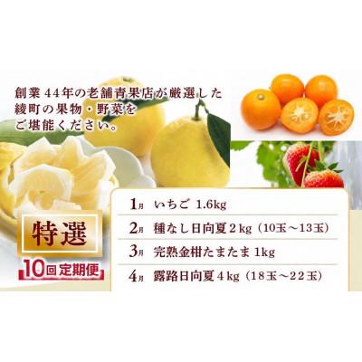 ふるさと納税 綾町 【発送月固定定期便】特選果物・野菜定期便【Y21】(綾町)全10回_1