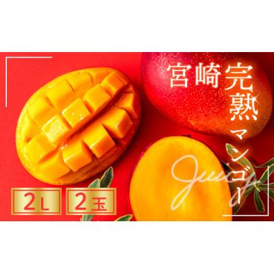 ふるさと納税 綾町 [発送月固定定期便]至極完熟マンゴー定期便[Z20](綾町)全3回