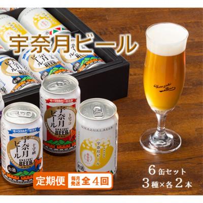 ふるさと納税 黒部市 [毎月定期便]宇奈月ビール(3種×各2本)6缶セット全4回